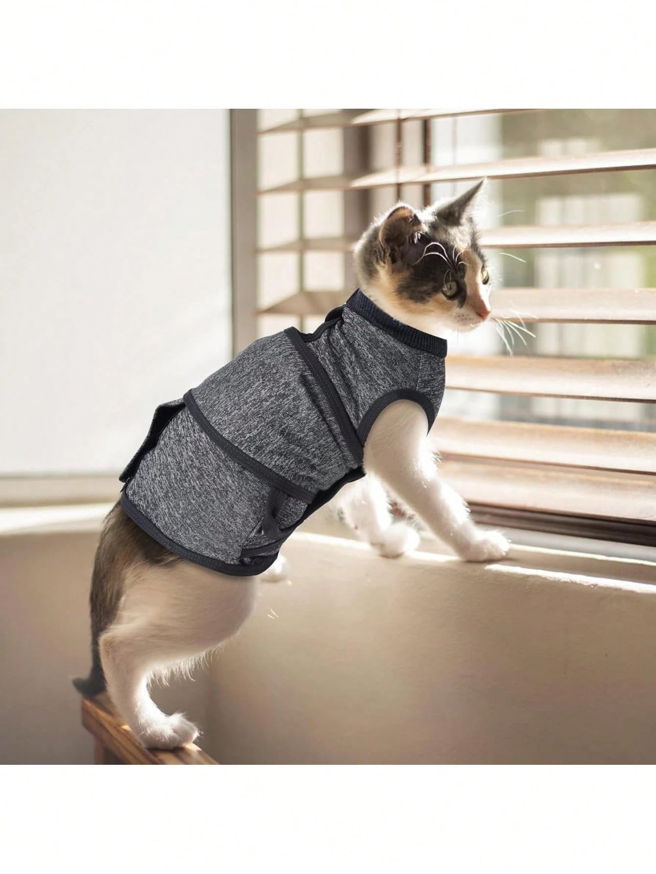 Pet Recovery Suit for Dogs & Cats | Adjustable Surgery Wrap