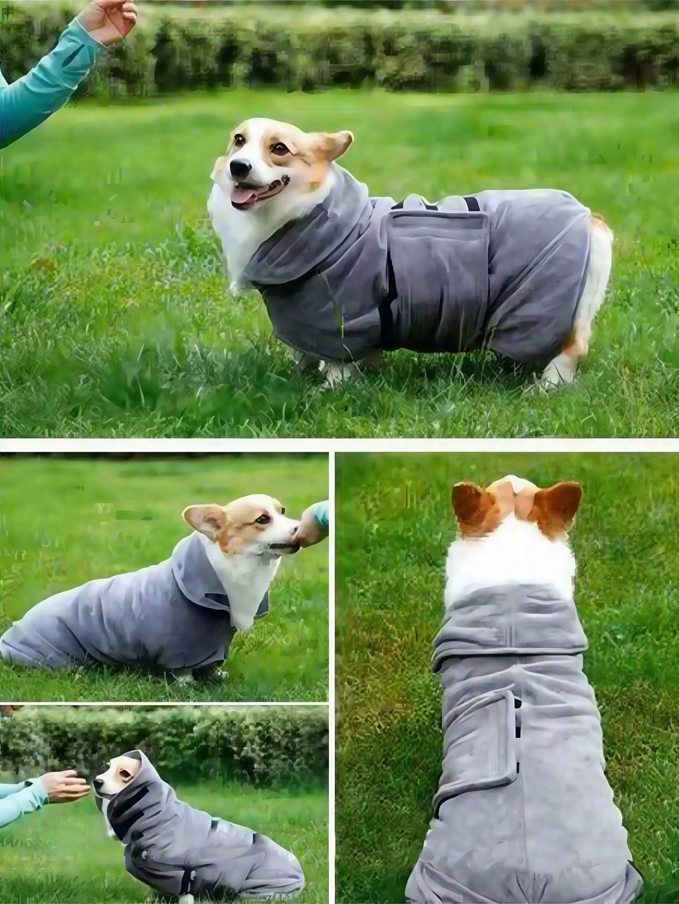 Quick-Dry Dog Bathrobe | Absorbent Pet Towel for Dogs & Cats