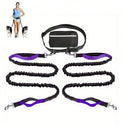 Hands-Free Dog Leash with Reflective Waist Pouch – Elastic Running Leash