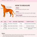 Dog Sweater Dress – High Collar Knitted Winter Outfit for Small Dogs