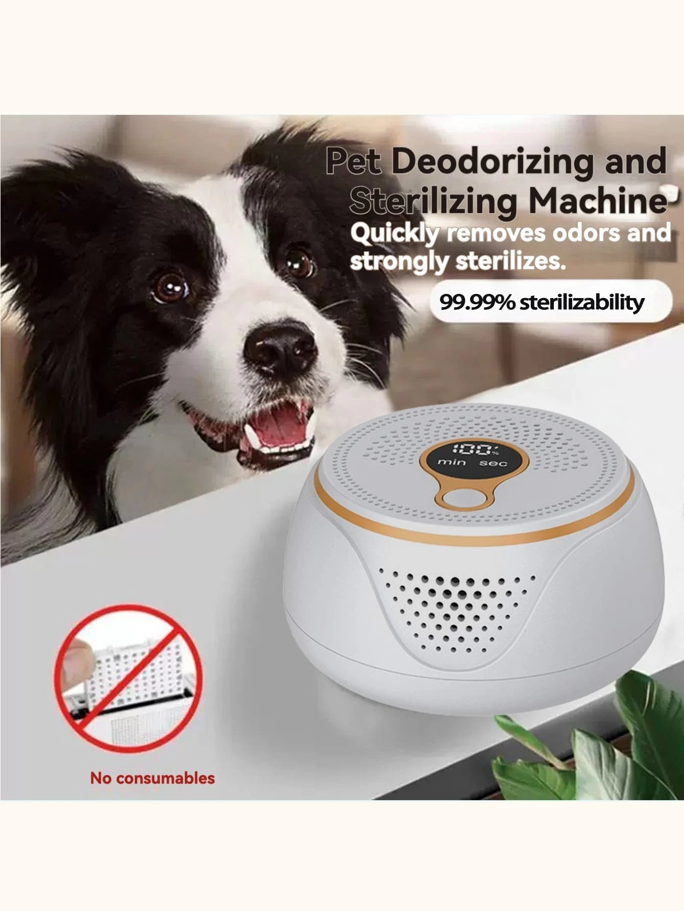 Pet Odor Eliminator | USB Rechargeable Cat & Dog Deodorizer