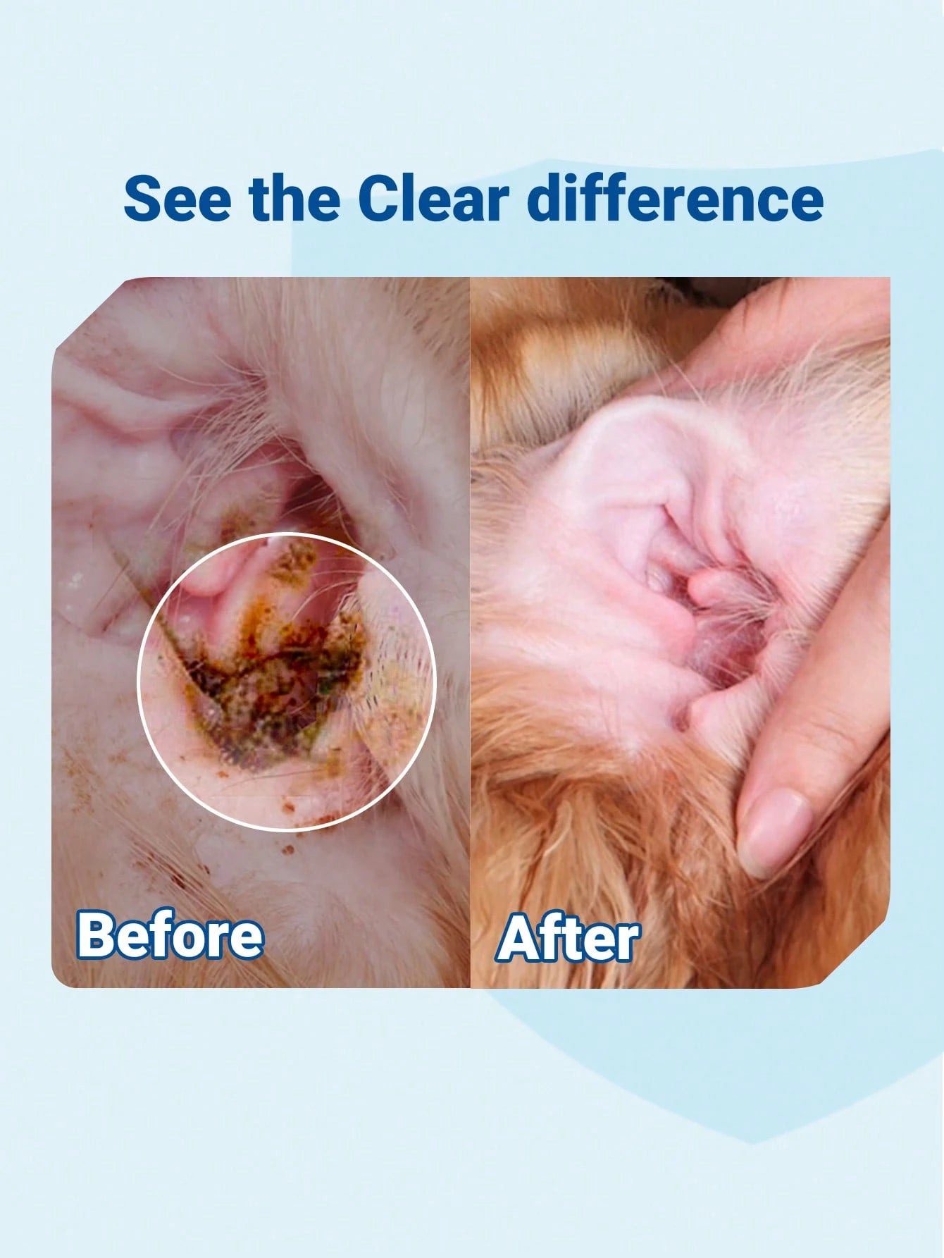 Pet Ear Cleaner for Dogs & Cats – Gentle Ear Drops for Wax & Odor | 2.03 Fl Oz