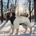 Waterproof Winter Dog Jacket | Warm Windproof Coat for Small Dogs