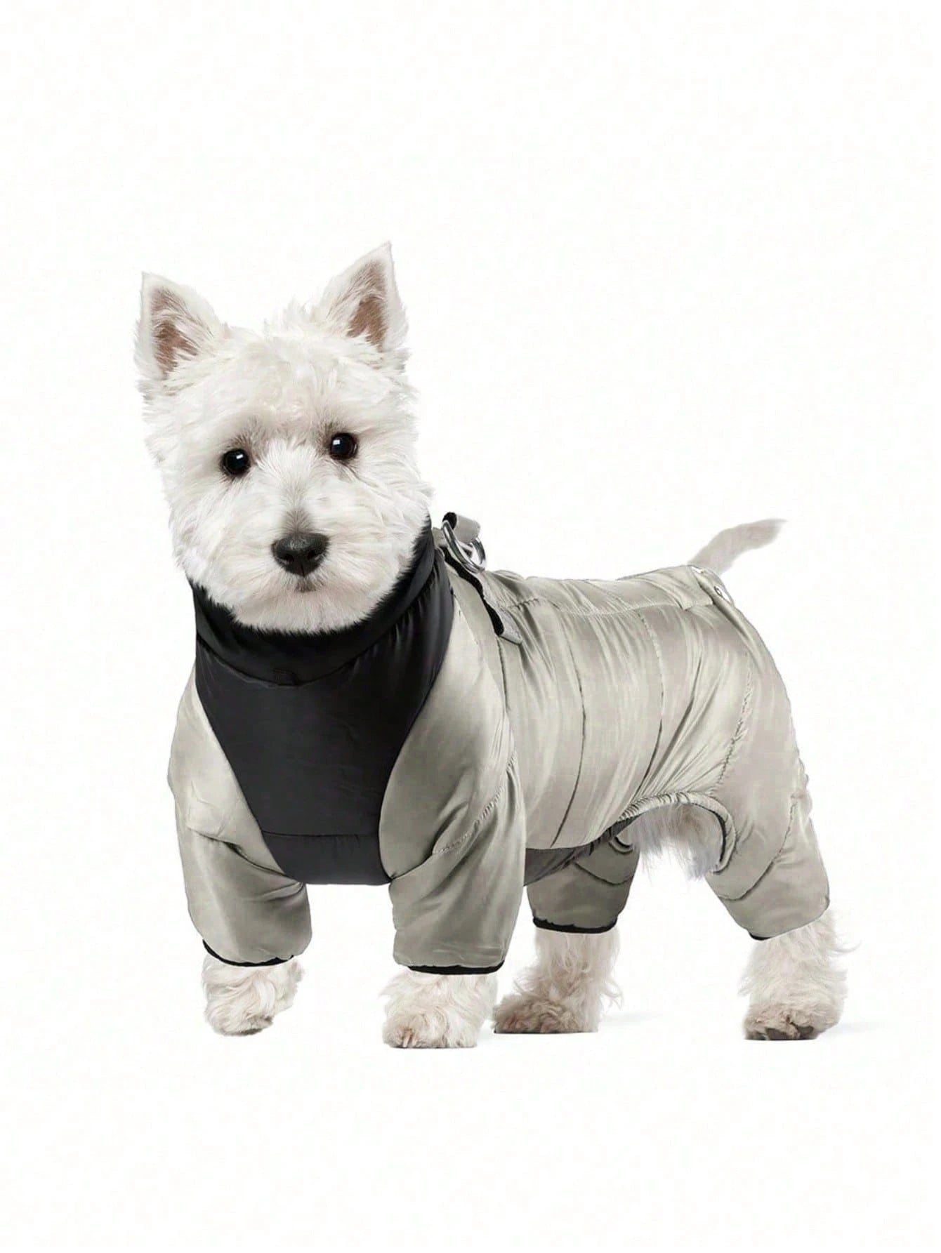 Waterproof Winter Dog Jacket | Warm Windproof Coat for Small Dogs
