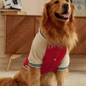 Red Colorblock Dog Cardigan – Baseball-Style Pet Sweater