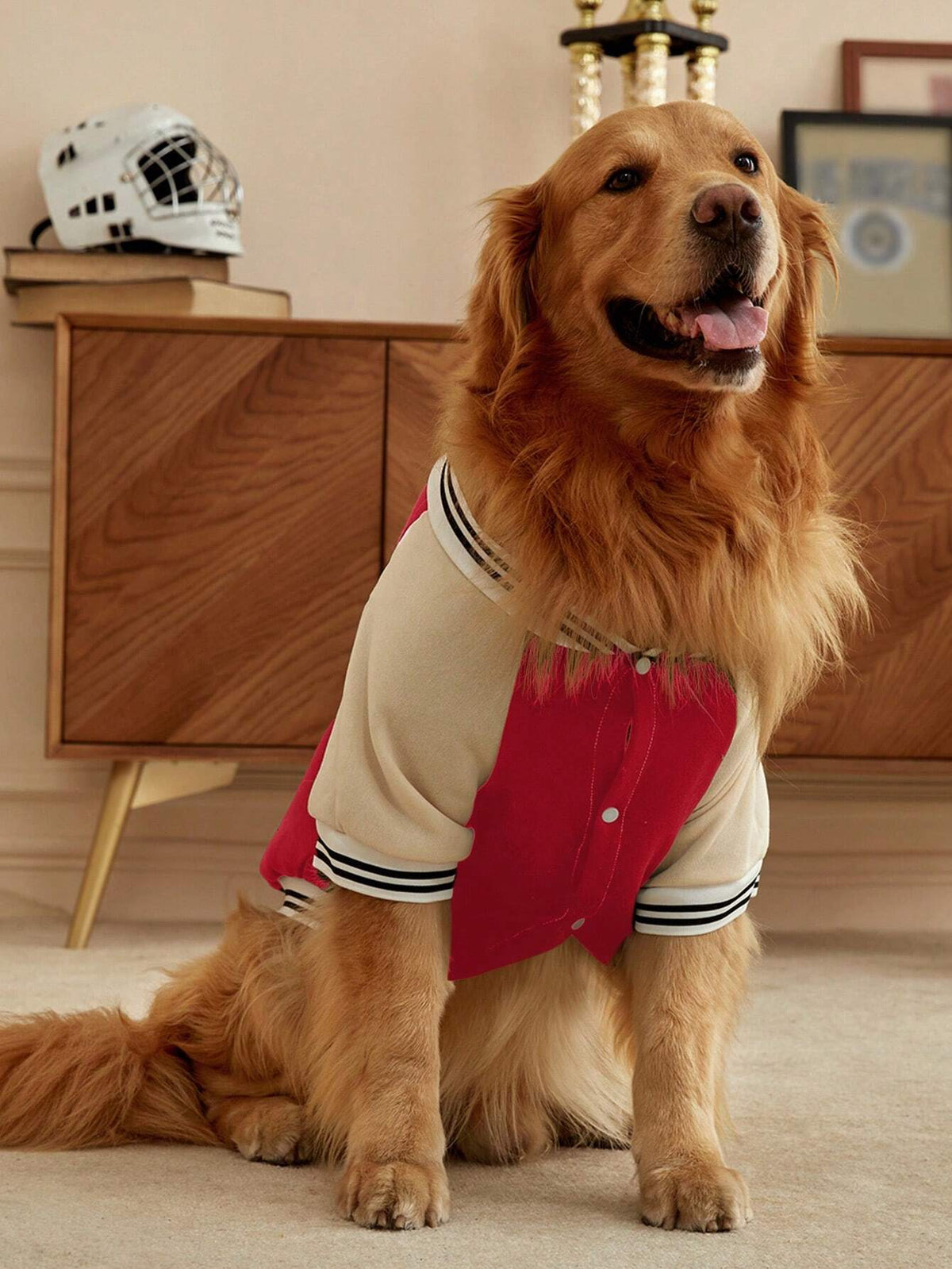Red Colorblock Dog Cardigan – Baseball-Style Pet Sweater