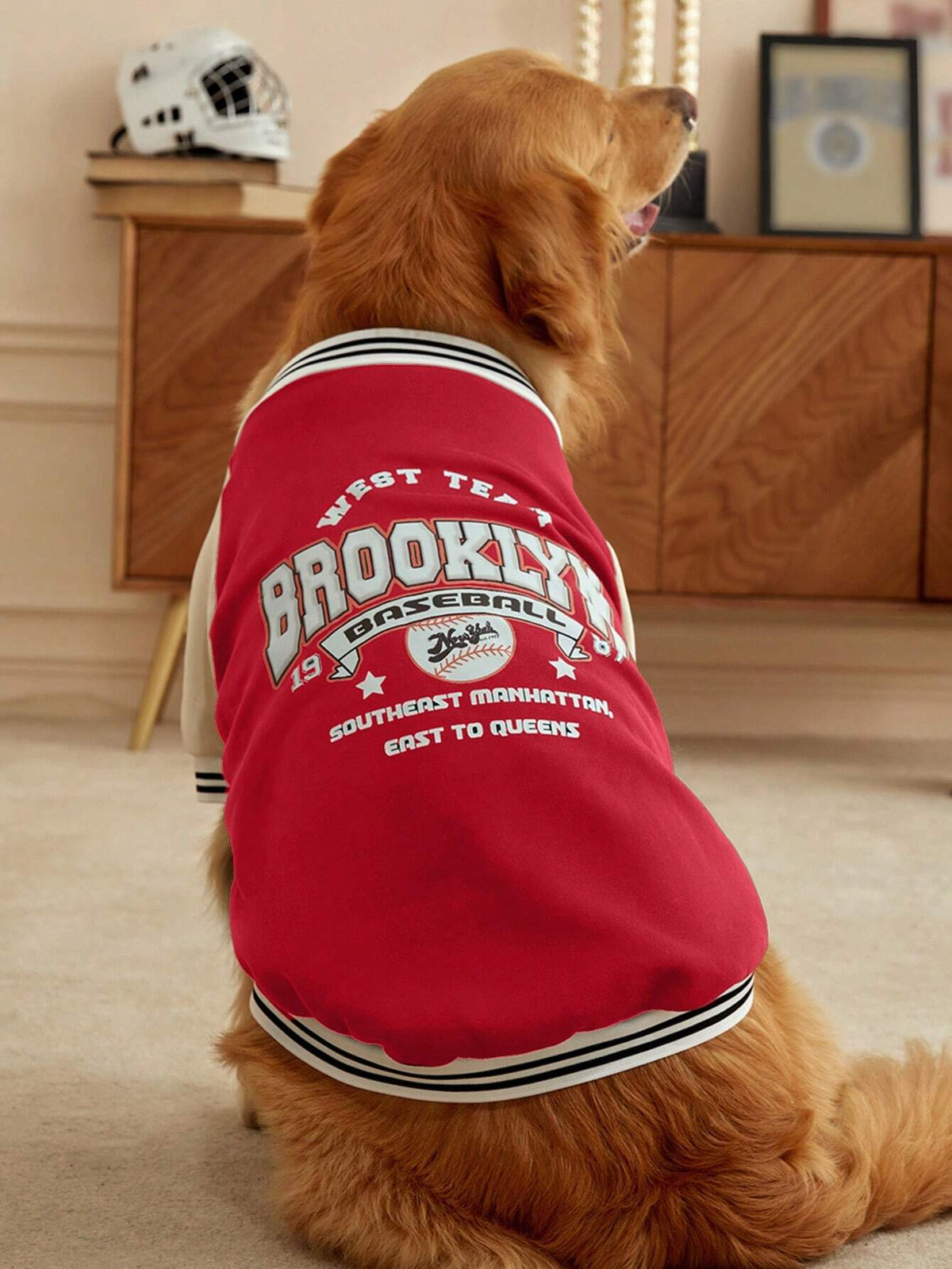 Red Colorblock Dog Cardigan – Baseball-Style Pet Sweater