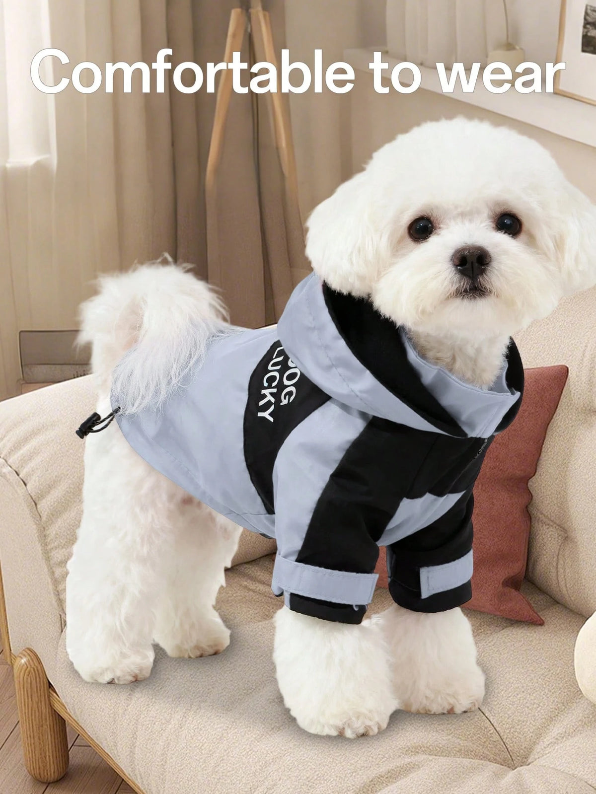 Colorblock Dog Windbreaker Jacket – Hooded Pet Coat