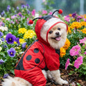 Full-Coverage Waterproof Dog Raincoat – Hooded Animal Design