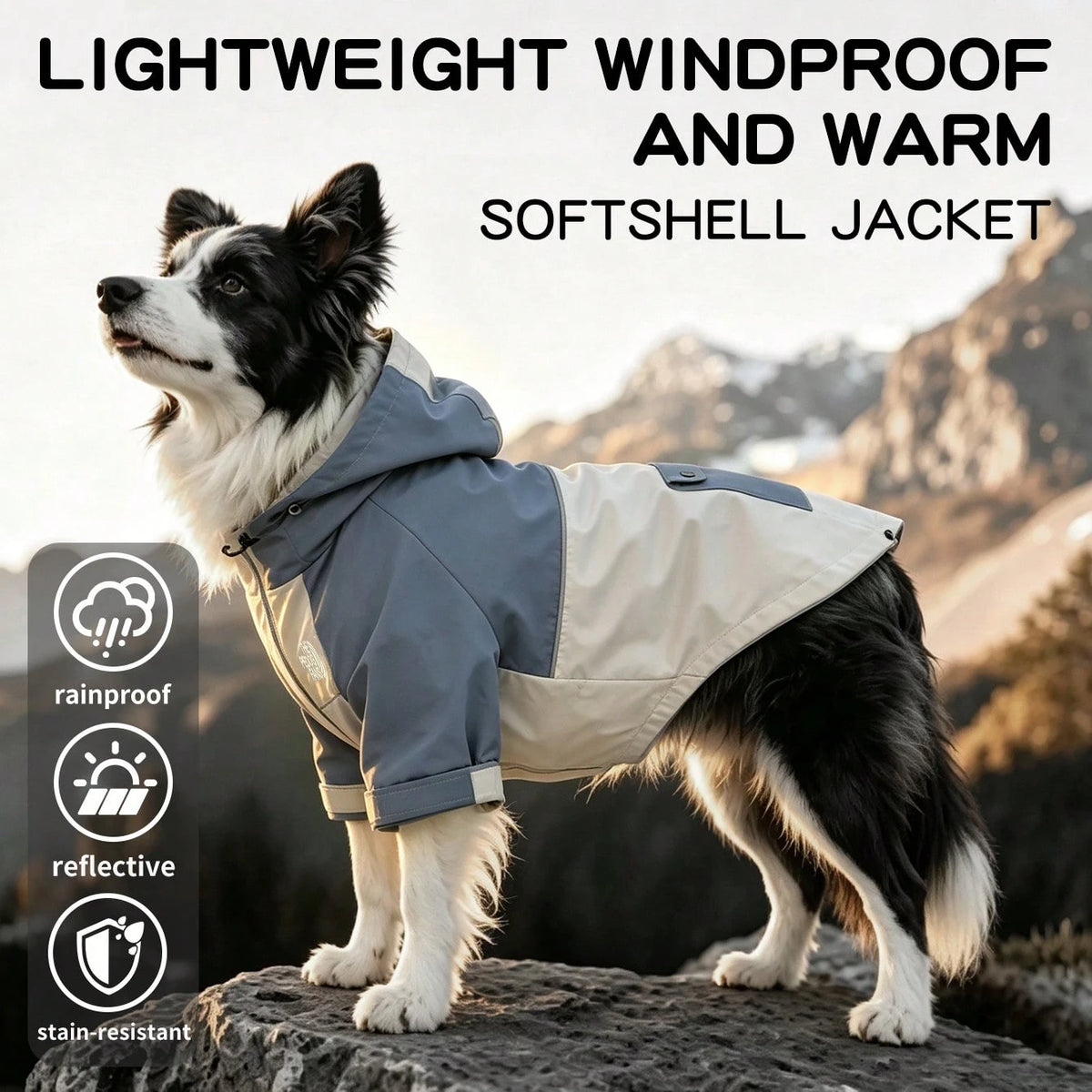 Water-Resistant Dog Windbreaker Jacket – Hooded Reflective Coat