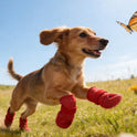 Dog Boots with Non-Slip Rubber Soles – Protective Pet Shoes