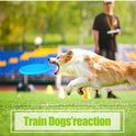 Dog Flying Disc Toy Set | Soft Interactive Training & Fetch Toys