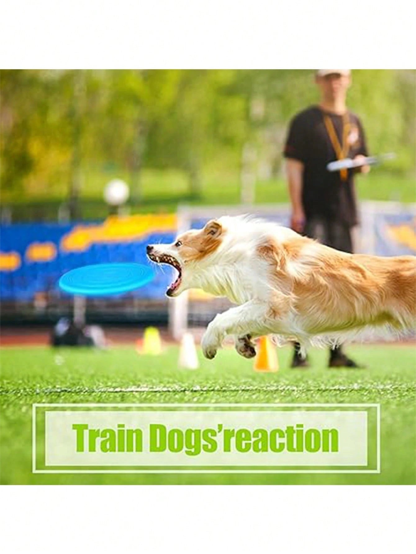 Dog Flying Disc Toy Set | Soft Interactive Training & Fetch Toys