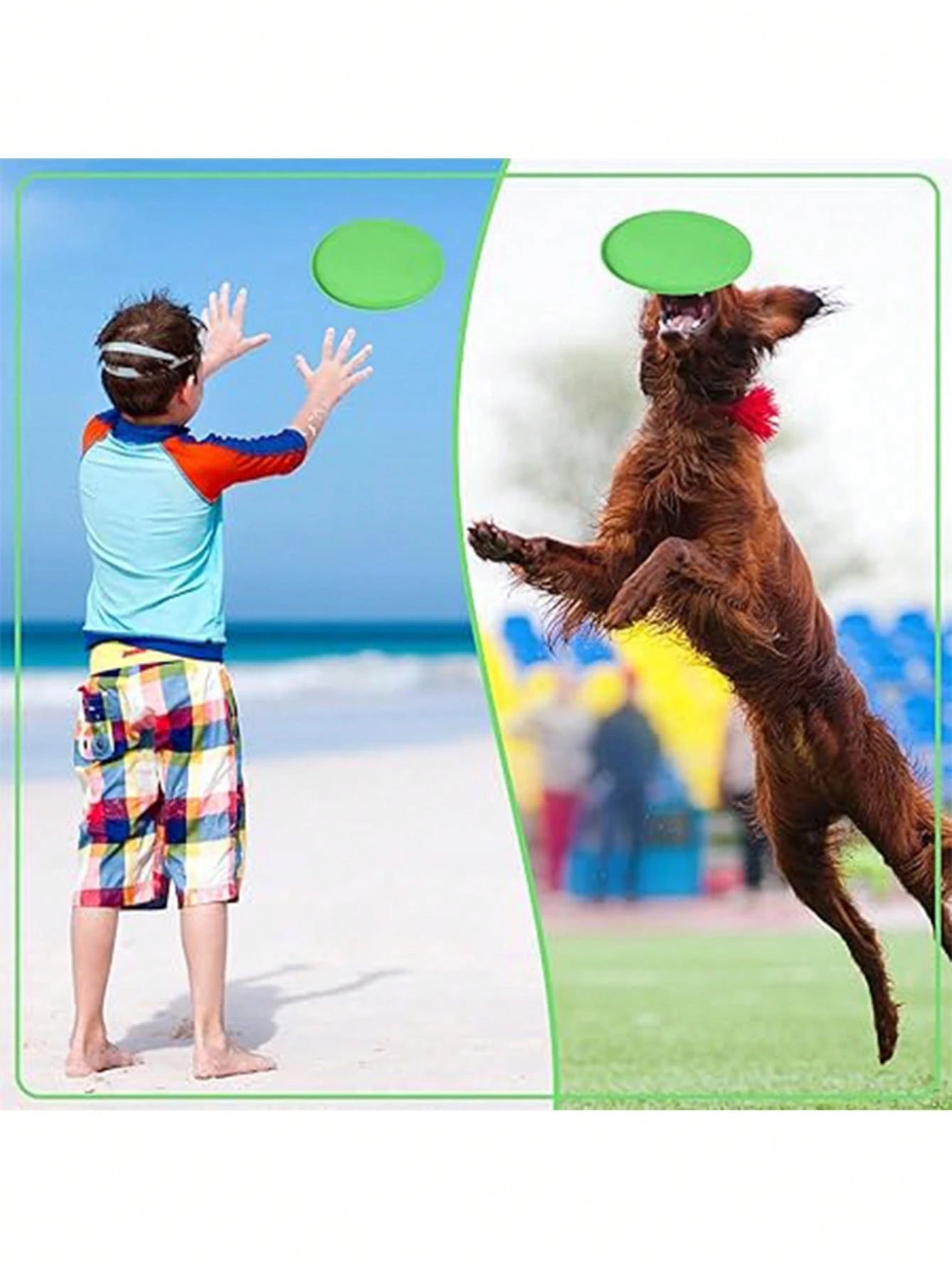 Dog Flying Disc Toy Set | Soft Interactive Training & Fetch Toys