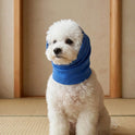 Pet Head Cover for Small & Medium Dogs – Breathable Anti-Bite Headwear