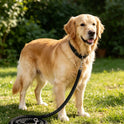 Heavy Duty Braided Nylon Dog Leash | Strong Rope Lead for Large Dogs