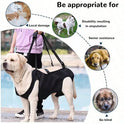 Adjustable Dog Support Leash – Shoulder Strap for Elderly & Disabled Dogs