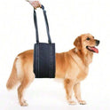 Dog Walking Assistance Harness – Rear Leg Support for Elderly & Injured Dogs