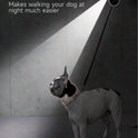 5M Retractable Dog Leash – Strong Nylon Tape with Non-Slip Handle