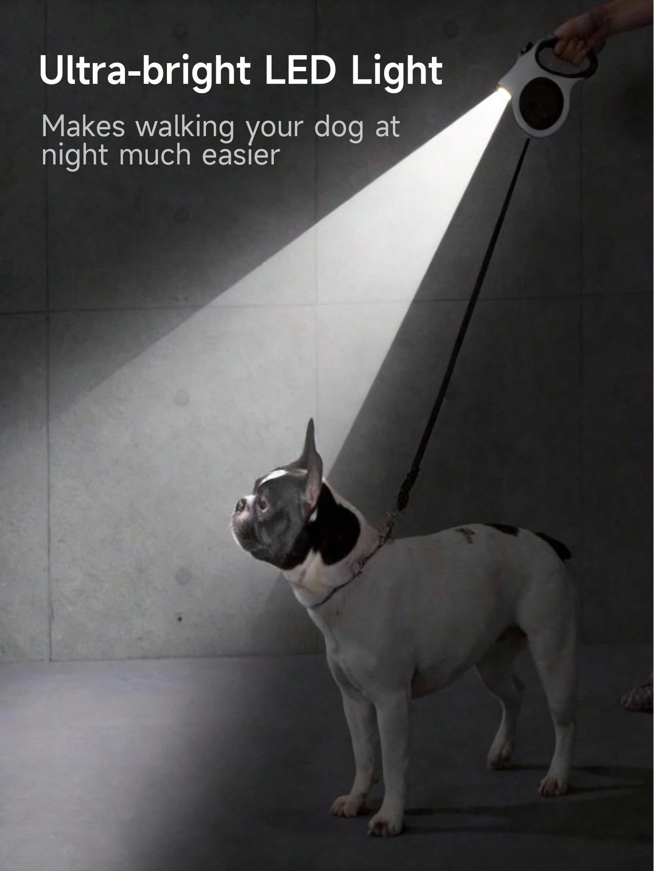 5M Retractable Dog Leash – Strong Nylon Tape with Non-Slip Handle