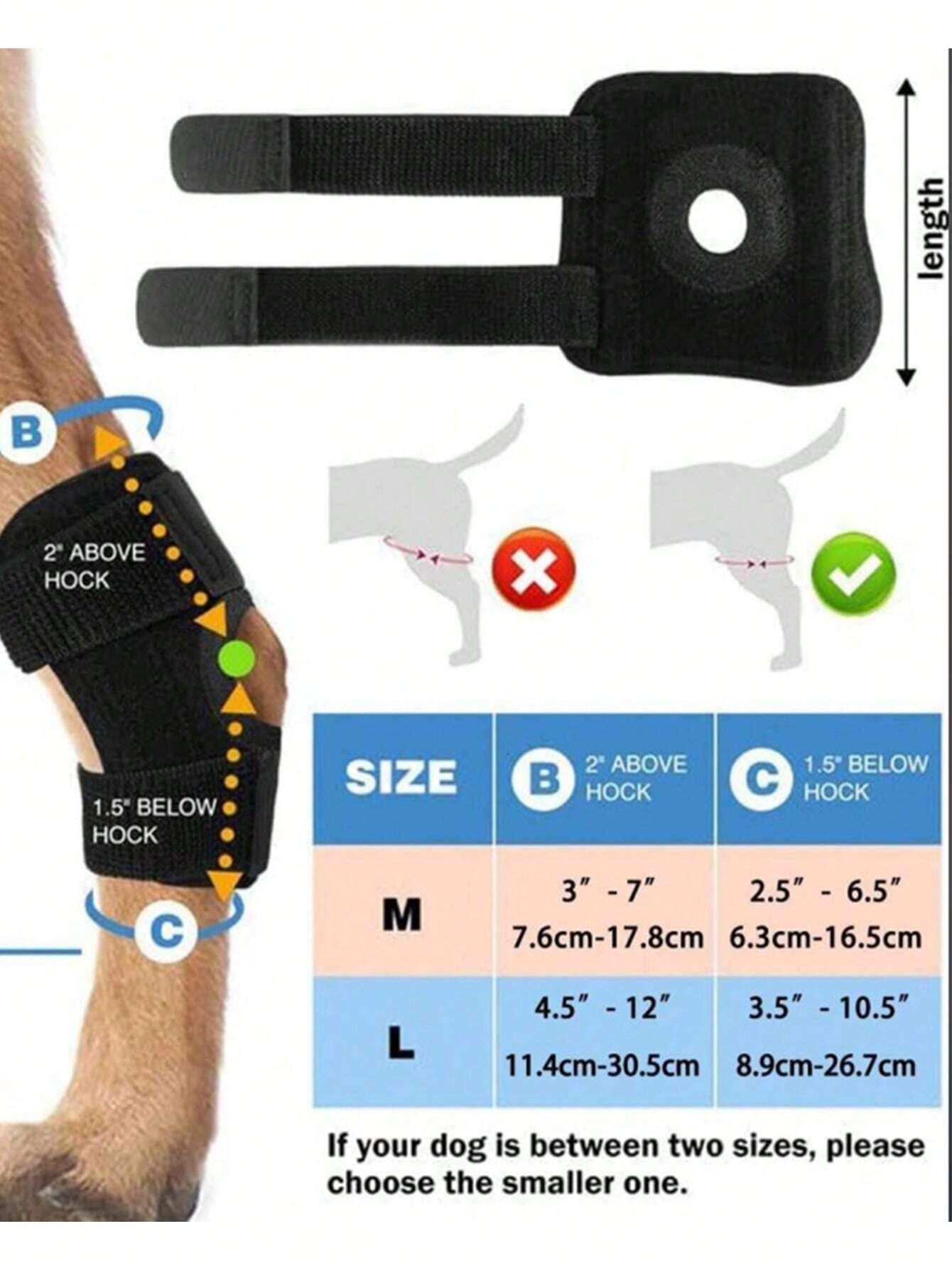 Dog Knee Brace & Leg Support – Front & Hind Leg Protector