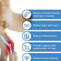 Dog Knee Brace & Leg Support – Front & Hind Leg Protector