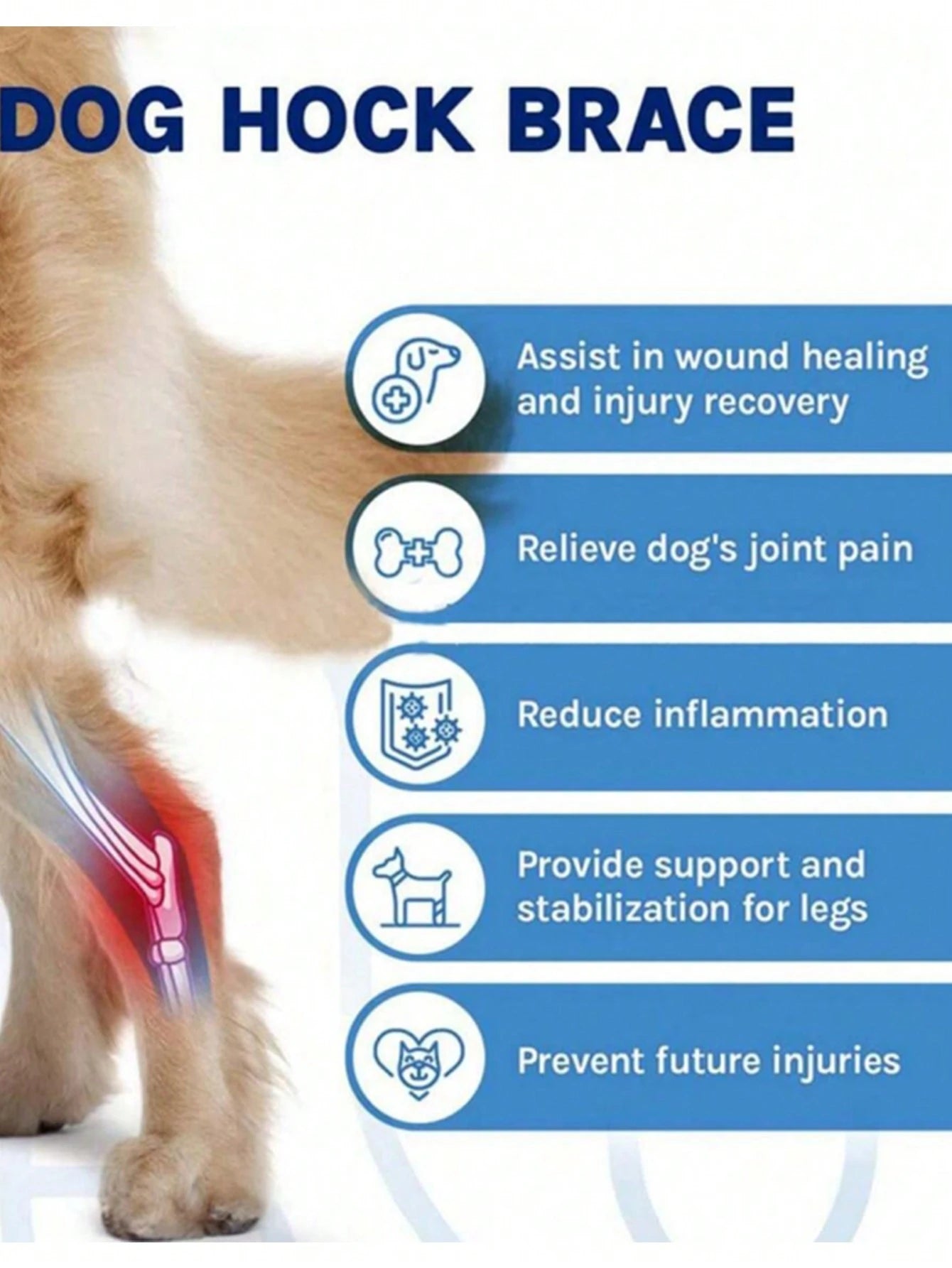Dog Knee Brace & Leg Support – Front & Hind Leg Protector