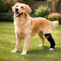 Dog Leg Support Sleeve – Joint Protection & Recovery Brace