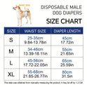 12-Pack Male Dog Diapers | Super Absorbent Leak-Proof Wraps