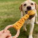 Interactive Squeaky Sports Ball Dog Toy | Football, Basketball & Rugby Plush Toy