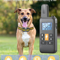 800m Waterproof Dog Training Collar | Remote Vibration & Sound