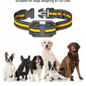 800m Waterproof Dog Training Collar | Remote Vibration & Sound
