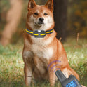 800m Waterproof Dog Training Collar | Remote Vibration & Sound