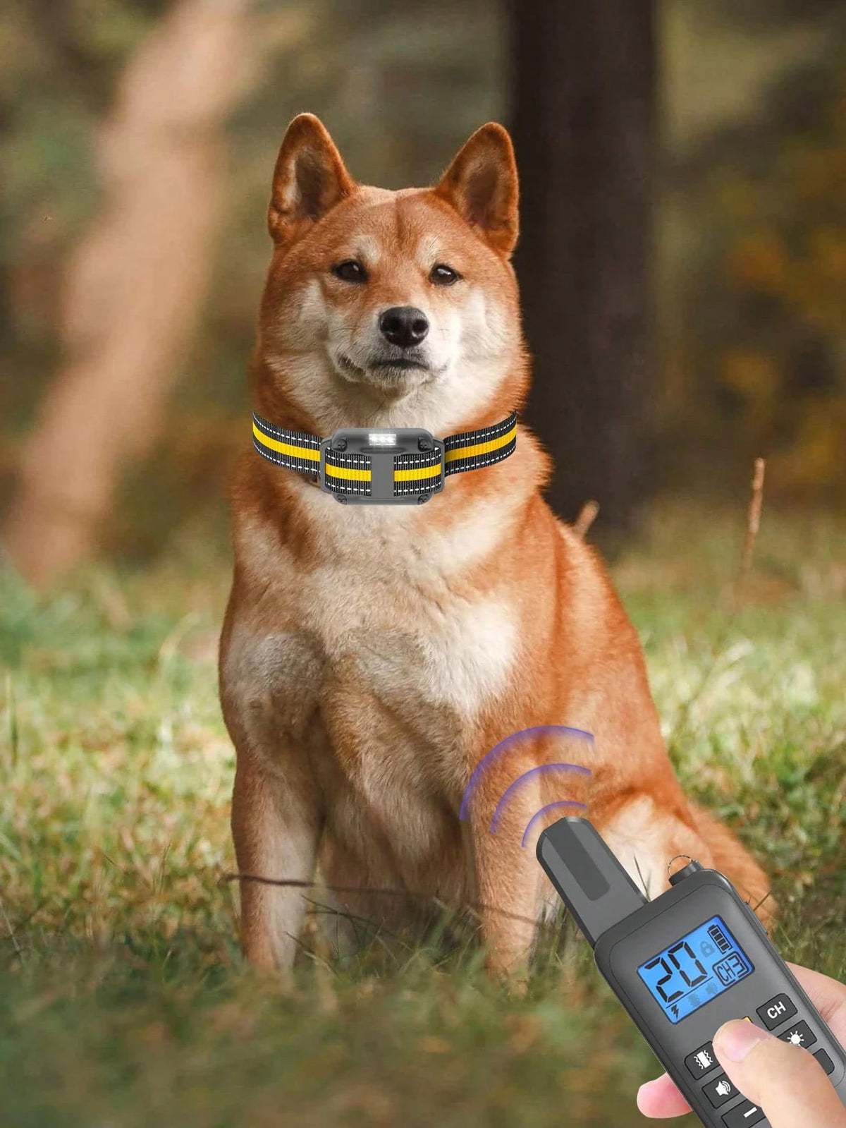 800m Waterproof Dog Training Collar | Remote Vibration & Sound