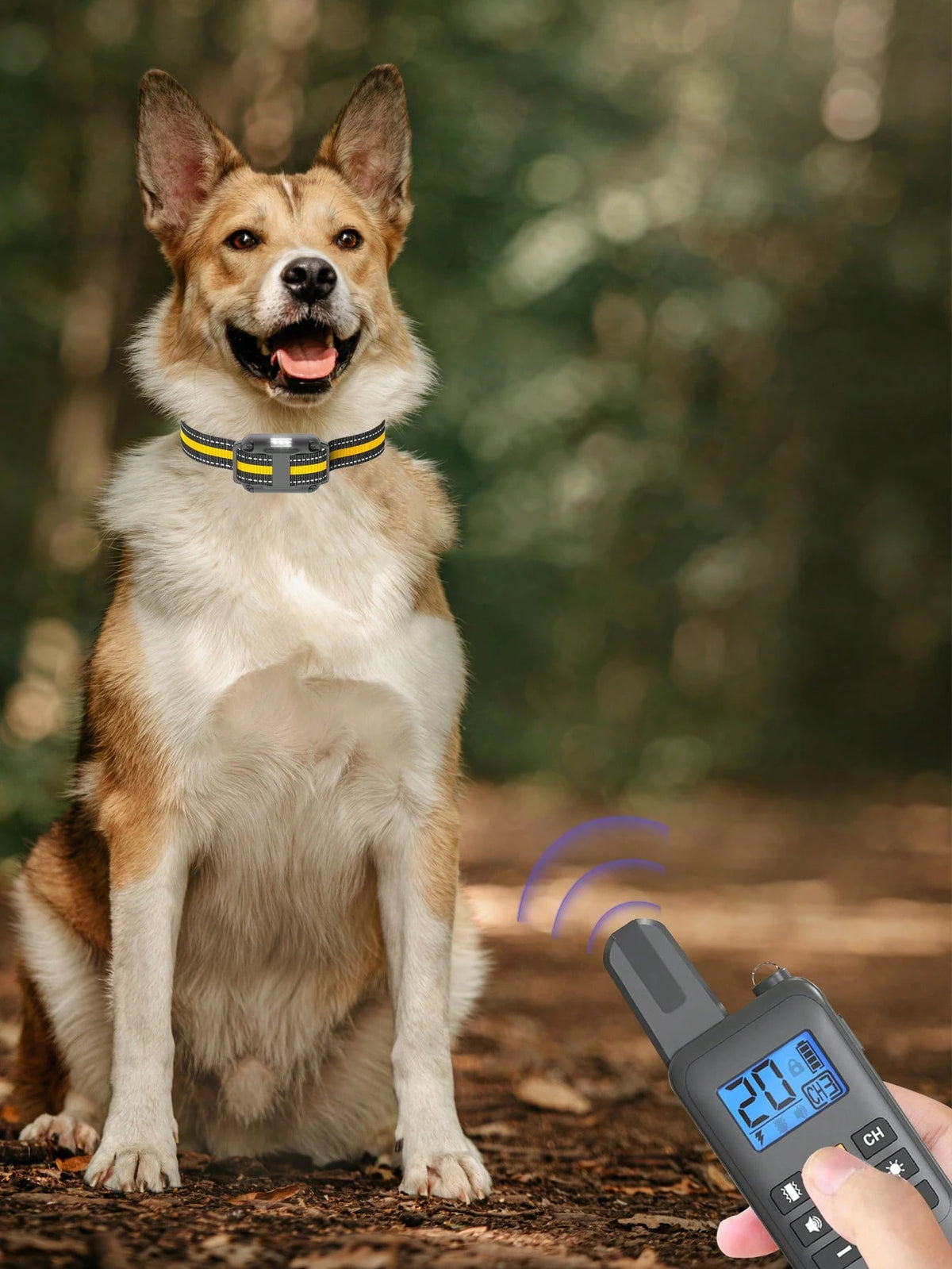800m Waterproof Dog Training Collar | Remote Vibration & Sound