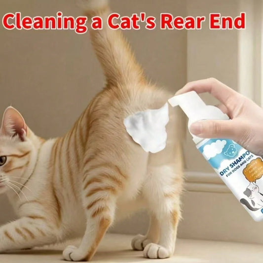No-Rinse Pet Cleaning Foam 100ml – Gentle Cat & Dog Cleaner