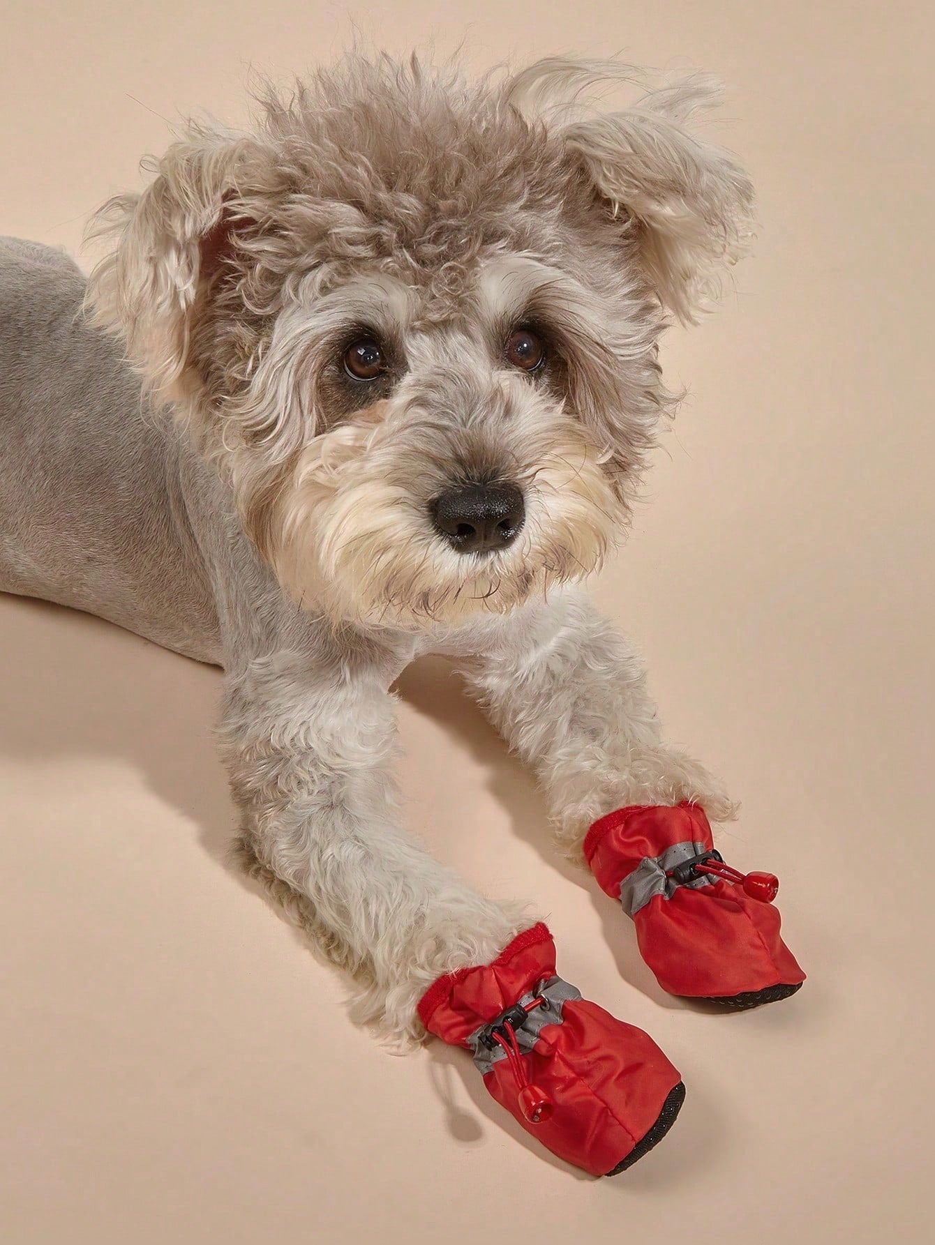 Non-Slip Dog Shoes | Soft Paw Protectors for Small Dogs