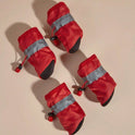 Non-Slip Dog Shoes | Soft Paw Protectors for Small Dogs