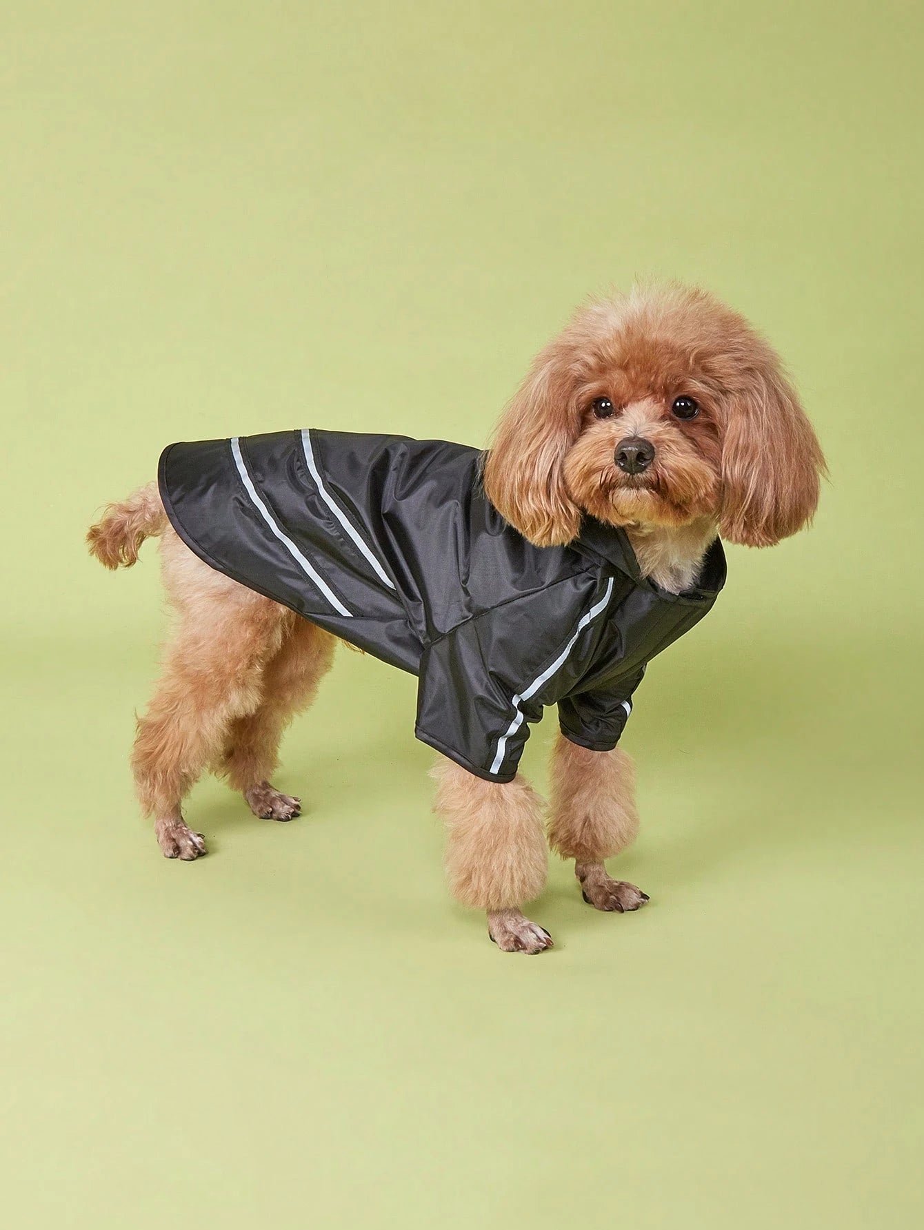 Waterproof Dog Raincoat with Reflective Strips | Outdoor Rain Jacket for Dogs