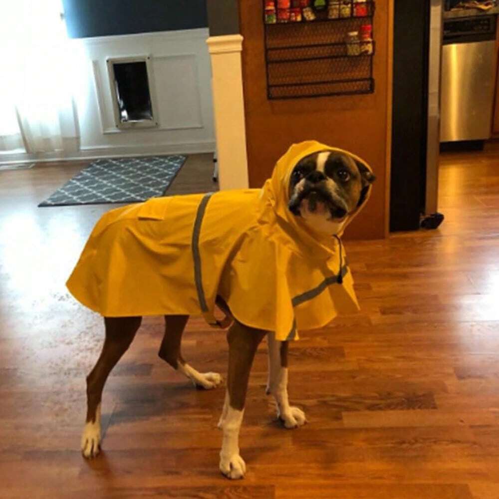 Large Waterproof Dog Raincoat with Reflective Strips & Adjustable Hood