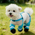 Dog Outdoor Pants with Shoes | Lightweight 4-Leg Dog Clothes