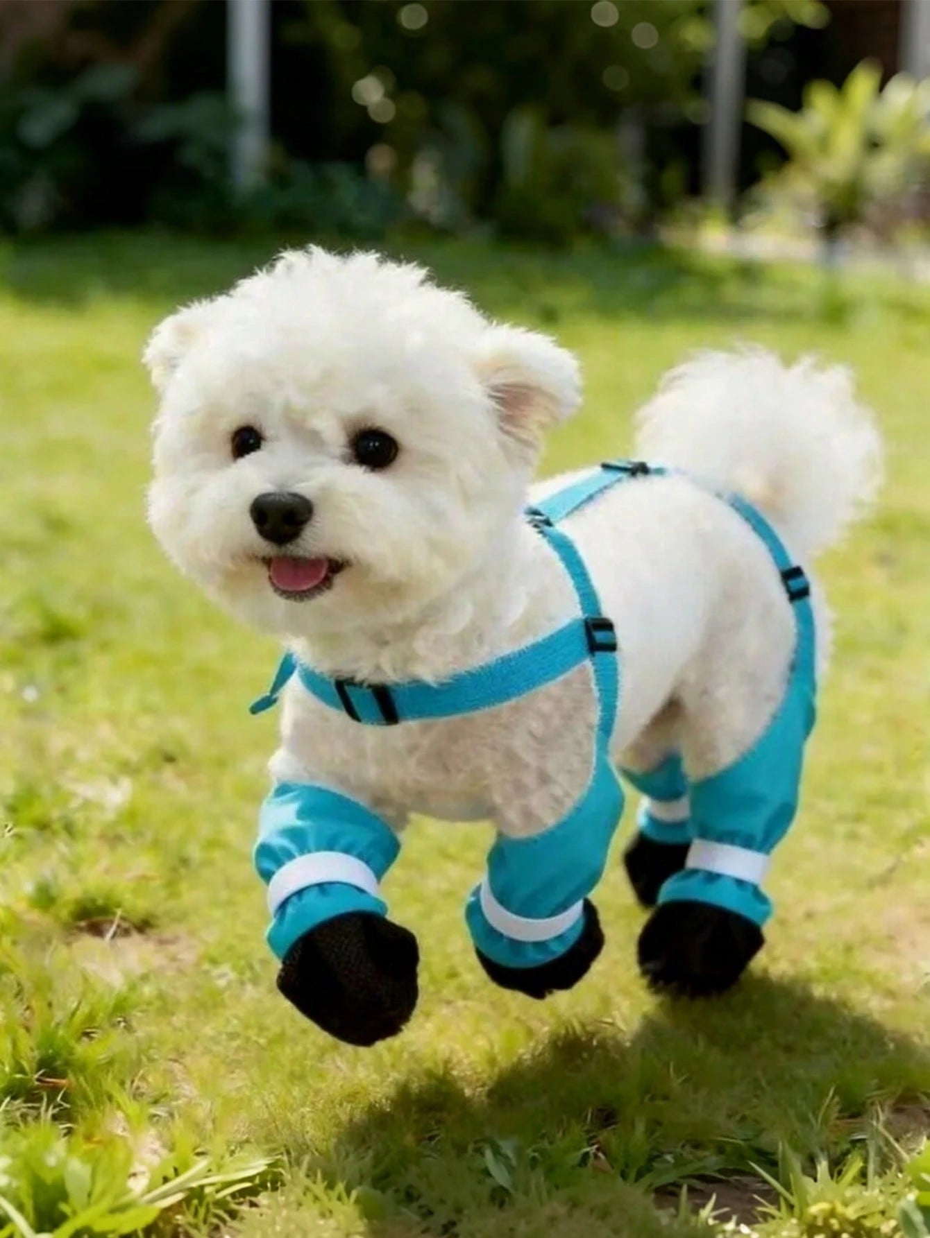 Dog Outdoor Pants with Shoes | Lightweight 4-Leg Dog Clothes