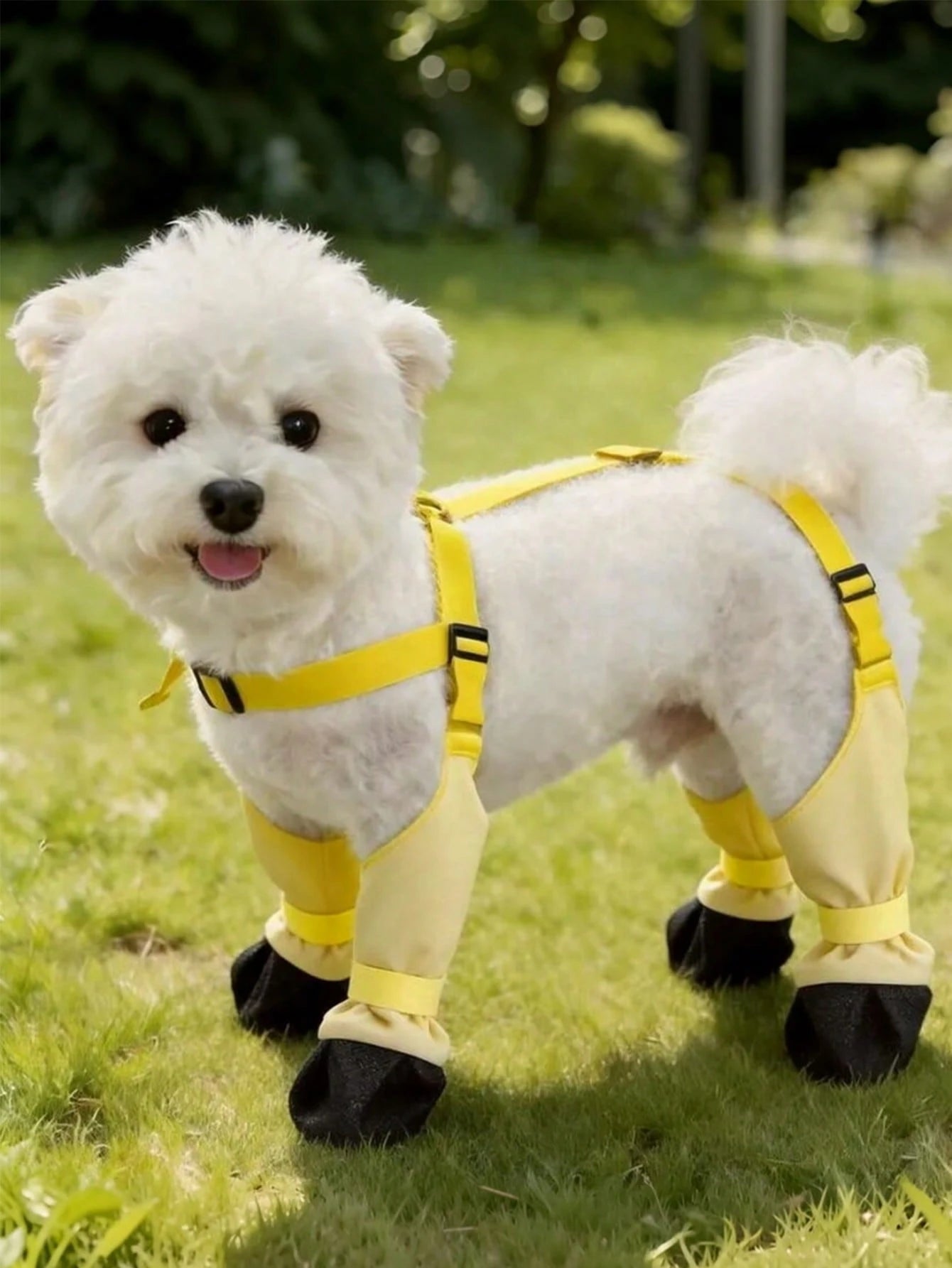 Anti-Slip Waterproof Dog Boots | Adjustable Paw Protection Shoes