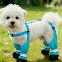 Dog Outdoor Pants with Shoes | Lightweight 4-Leg Dog Clothes