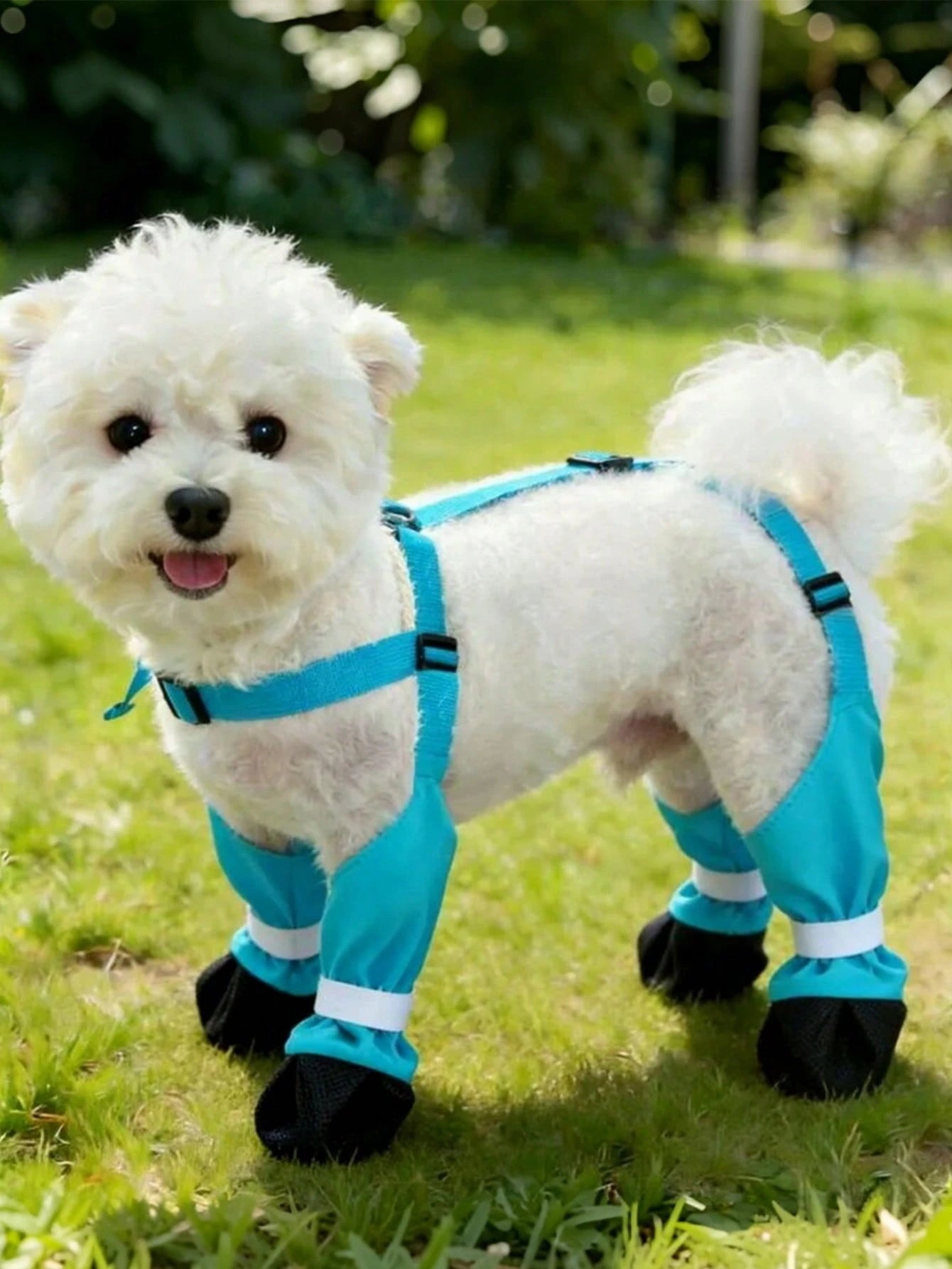 Dog Outdoor Pants with Shoes | Lightweight 4-Leg Dog Clothes