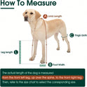 Anti-Slip Waterproof Dog Boots | Adjustable Paw Protection Shoes