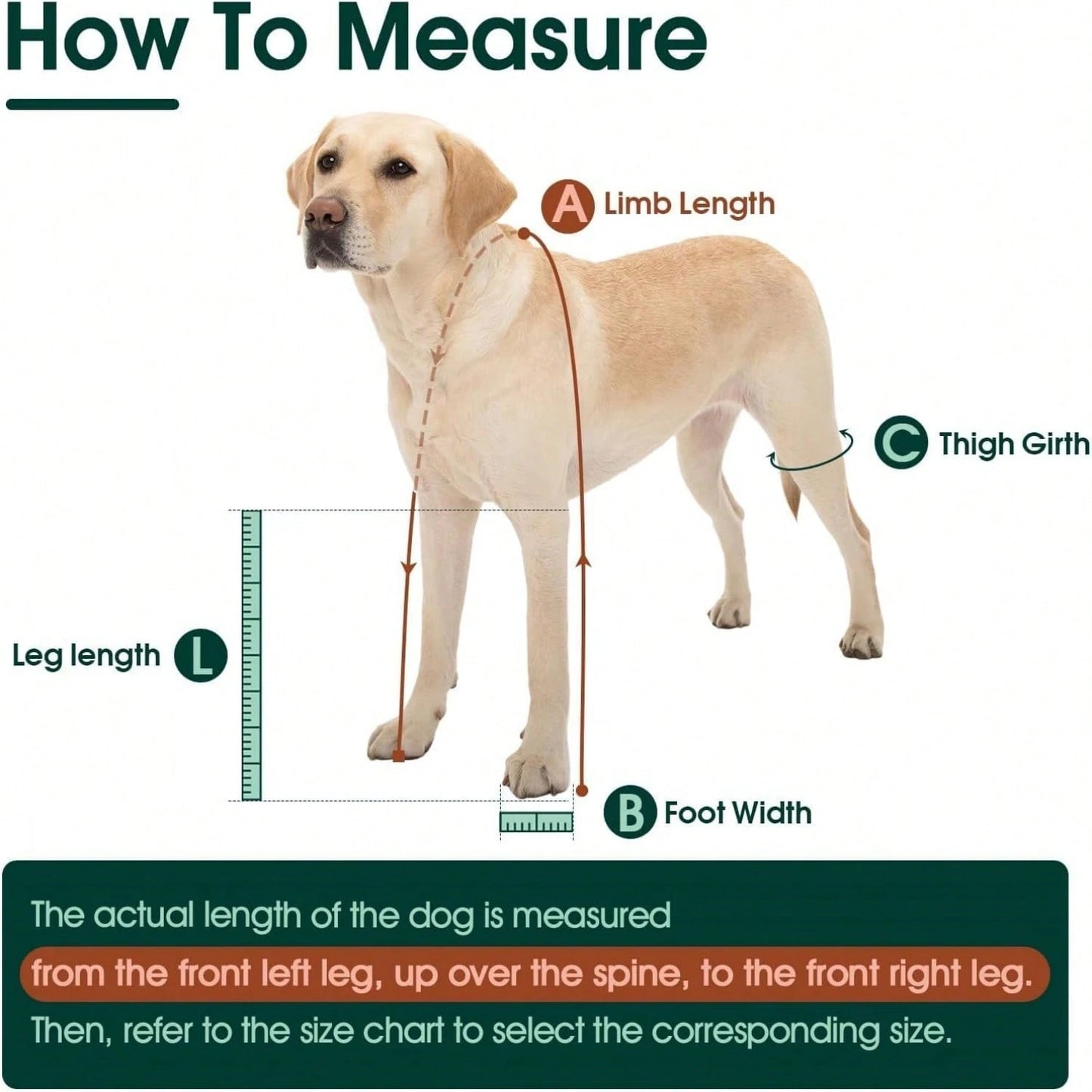 Anti-Slip Waterproof Dog Boots | Adjustable Paw Protection Shoes
