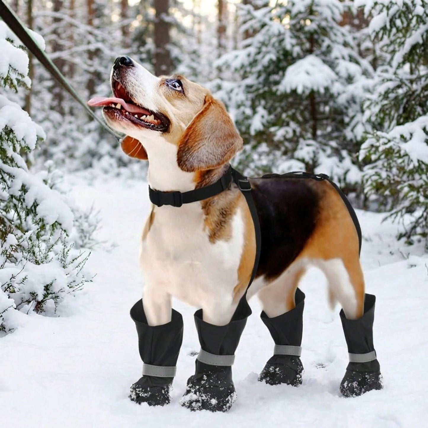 Anti-Slip Waterproof Dog Boots | Adjustable Paw Protection Shoes