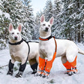 Anti-Slip Waterproof Dog Boots | Adjustable Paw Protection Shoes