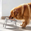 2000ml Stainless Steel Dog Bowl – Elevated Tilted Neck-Relief Feeder